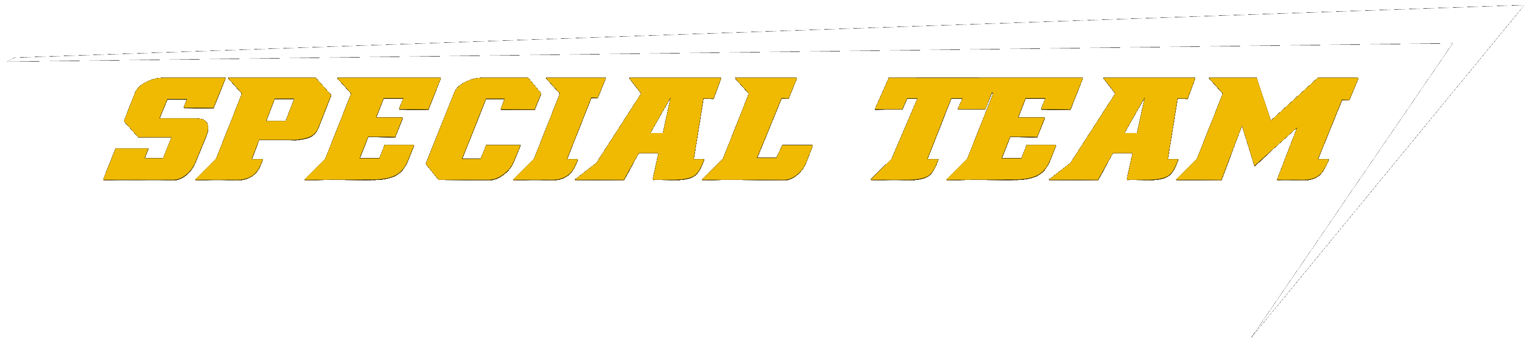 SPECIAL TEAM